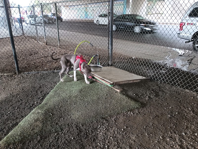 Hardy Dog Park - Oakland, CA