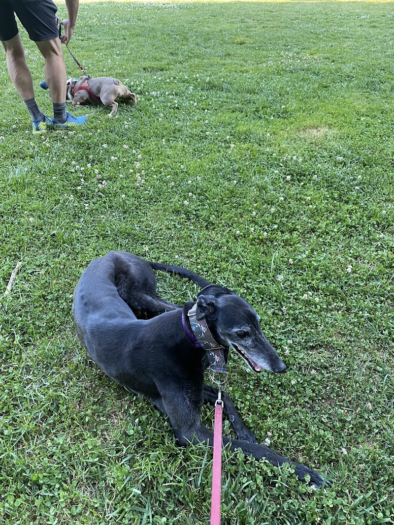 Hardy Dog Park - Oakland, CA