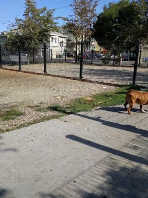 Jefferson Square Park