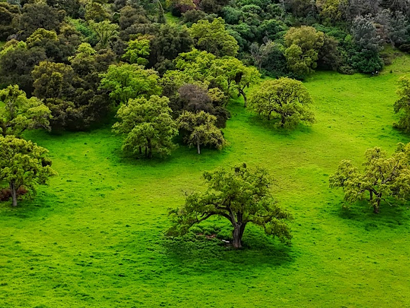 Jefferson Square Park - Oakland, CA