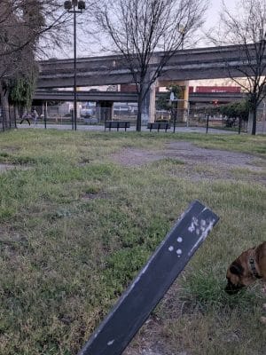 Jefferson Square Park