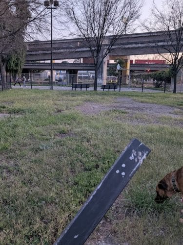 Jefferson Square Park