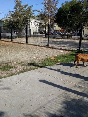 Jefferson Square Park