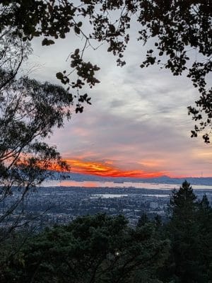 Joaquin Miller Dog Park