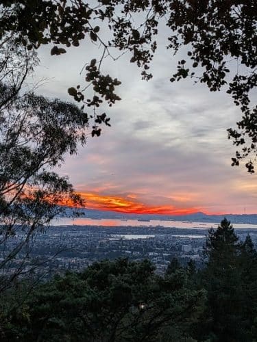 Joaquin Miller Dog Park