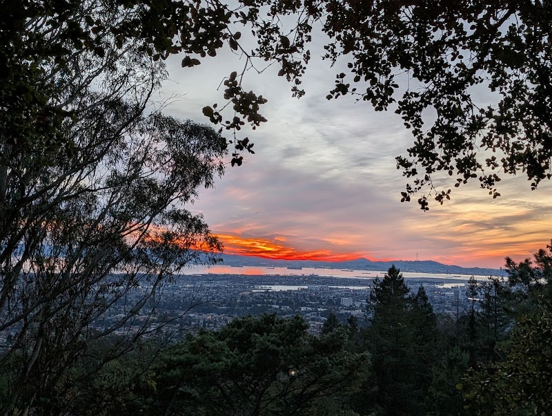 Joaquin Miller Dog Park - Oakland, CA