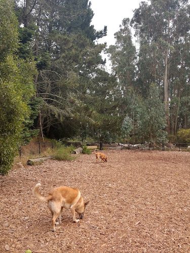 Joaquin Miller Dog Park