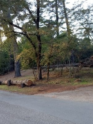 Joaquin Miller Dog Park