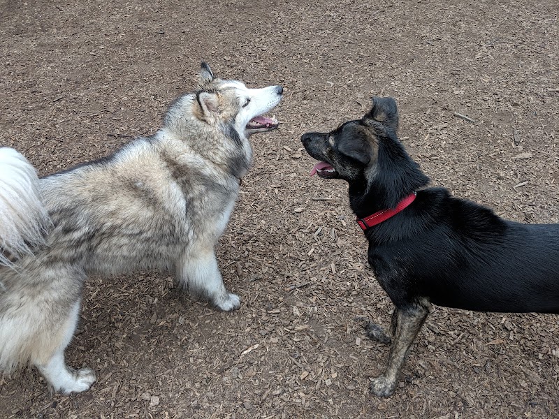 Joaquin Miller Dog Park - Oakland, CA