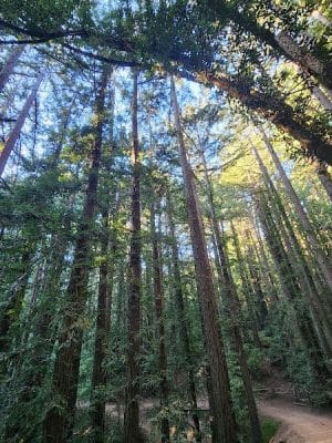 Joaquin Miller Park