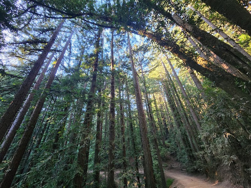 Joaquin Miller Park - Oakland, CA