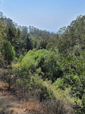 Joaquin Miller Park