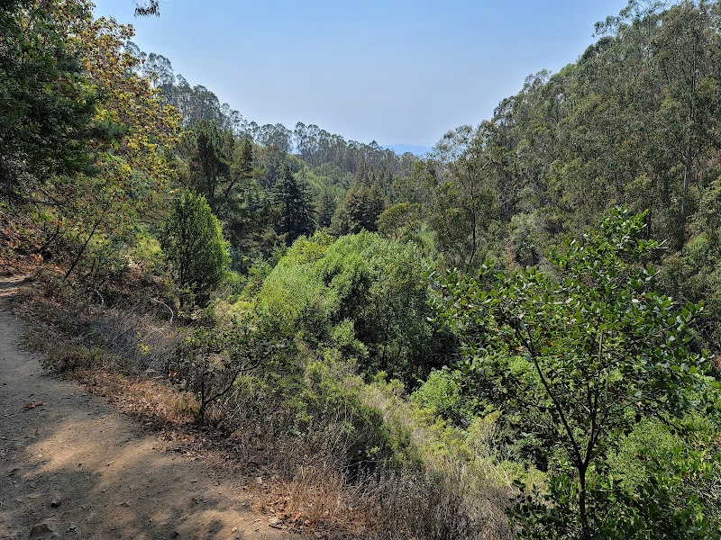 Joaquin Miller Park - Oakland, CA