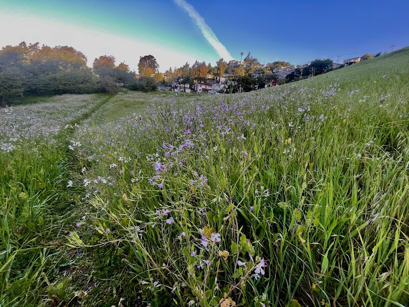 King Estate Open Space Park - Oakland, CA