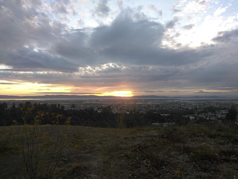 King Estate Open Space Park - Oakland, CA