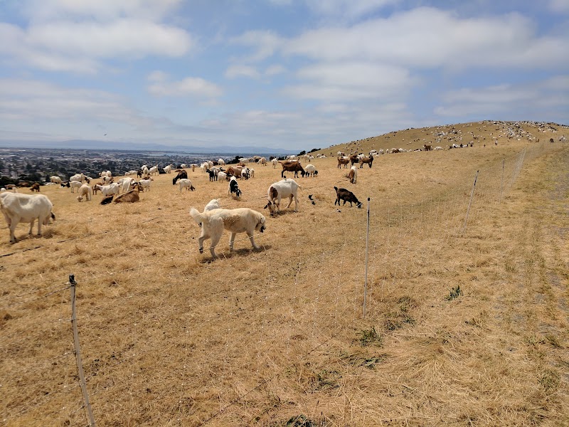 King Estate Open Space Park - Oakland, CA