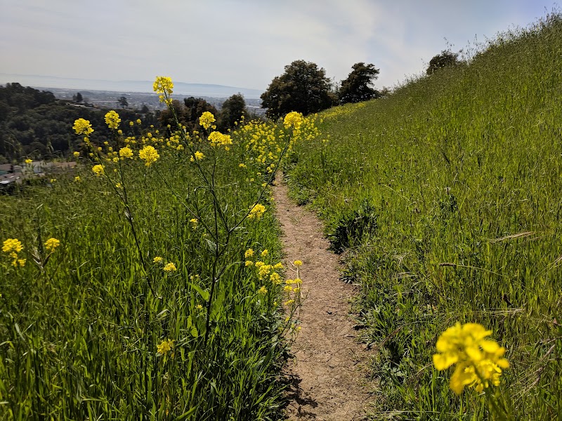 King Estate Open Space Park - Oakland, CA