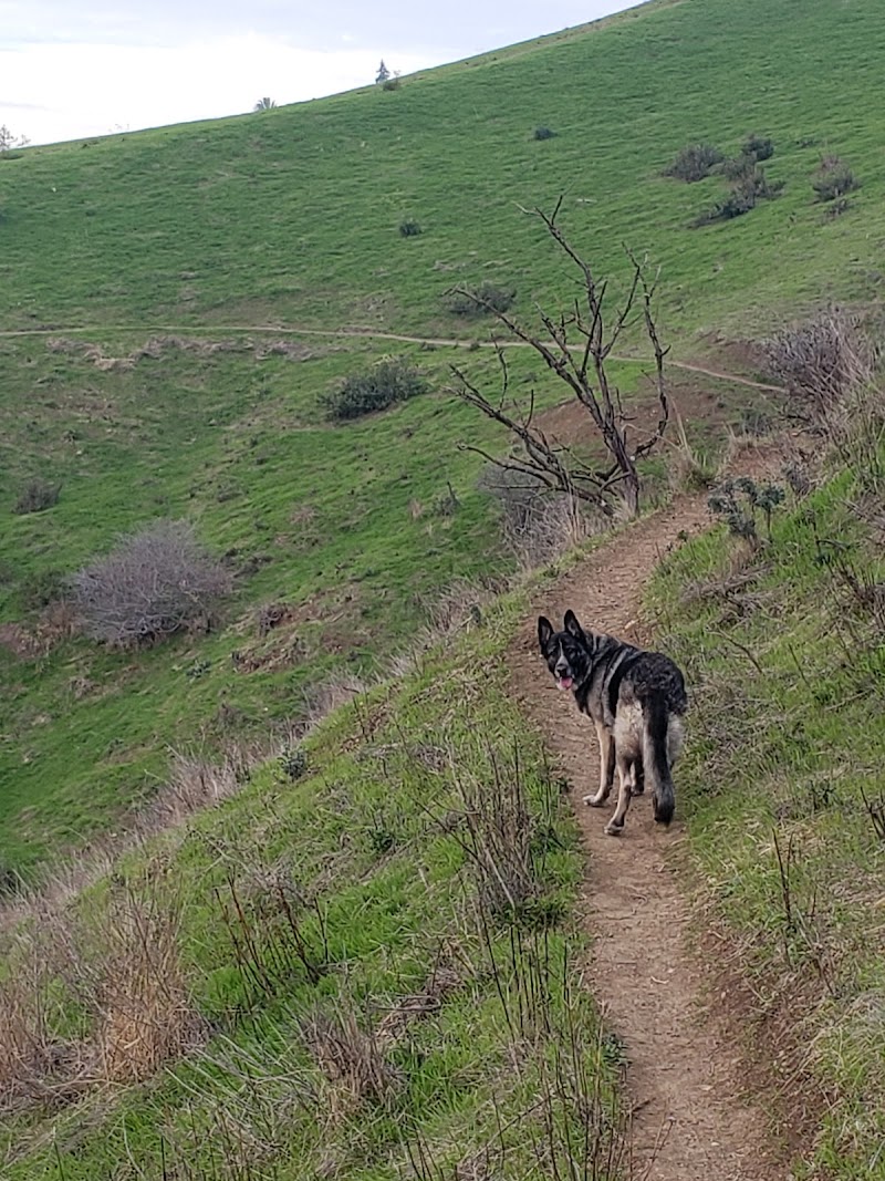 King Estate Open Space Park - Oakland, CA