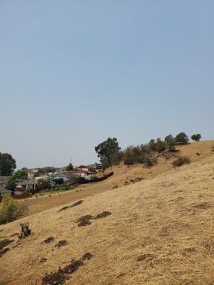 King Estate Open Space Park