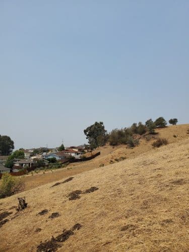 King Estate Open Space Park