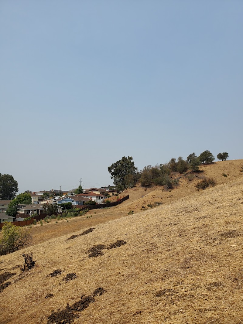 King Estate Open Space Park - Oakland, CA
