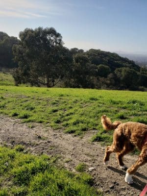 Knowland Park