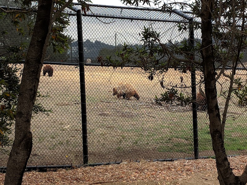 Knowland Park - Oakland, CA