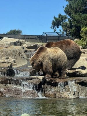 Knowland Park