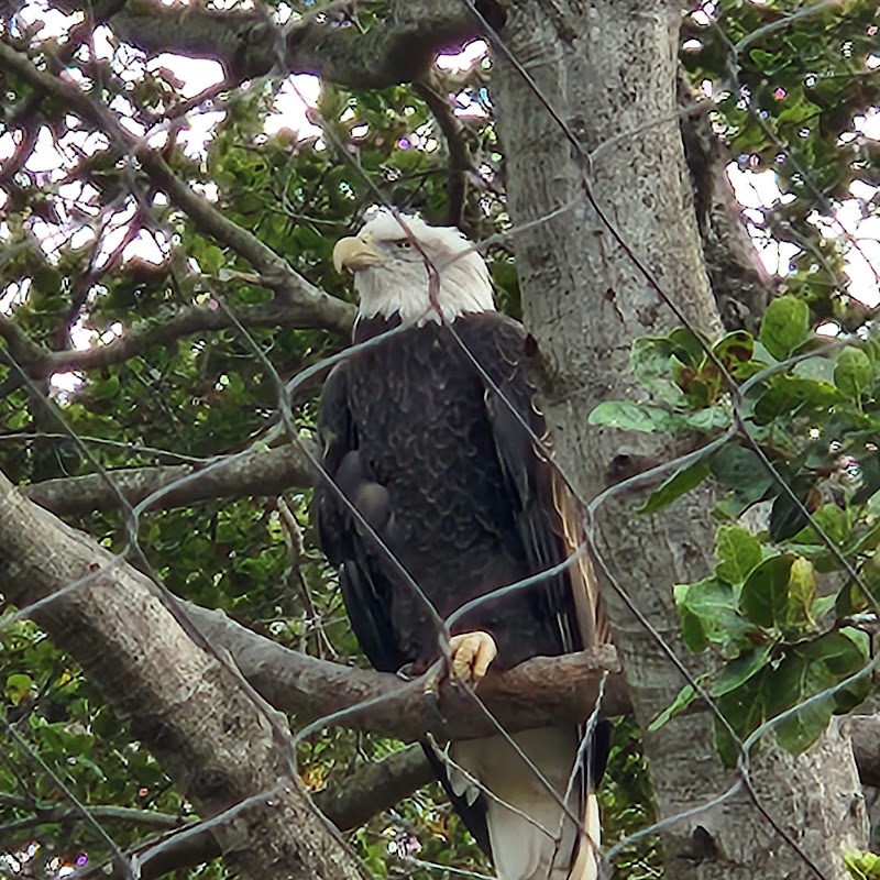Knowland Park - Oakland, CA
