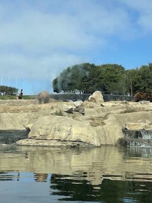 Knowland Park