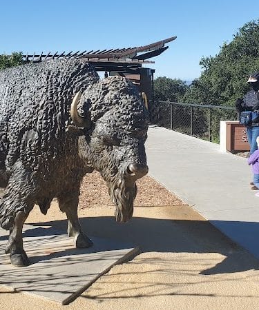 Knowland Park
