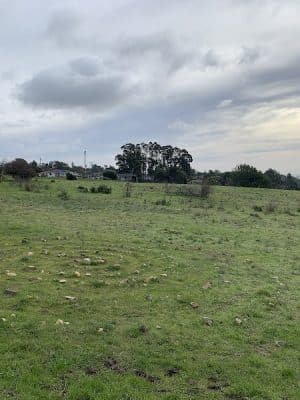 Knowland Park Open Space