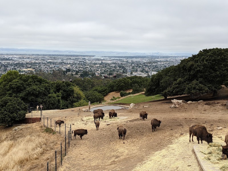 Knowland Park Open Space - Oakland, CA