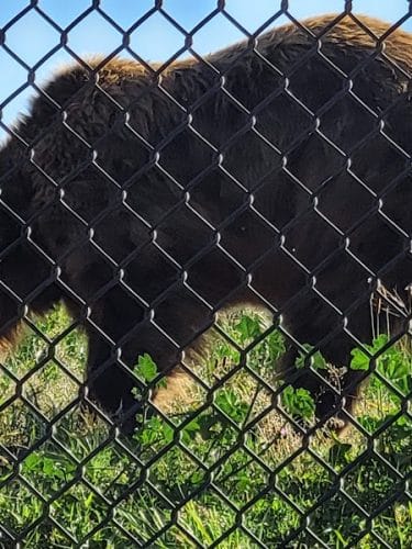 Knowland Park Open Space