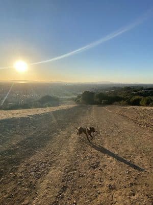 Knowland Park Open Space