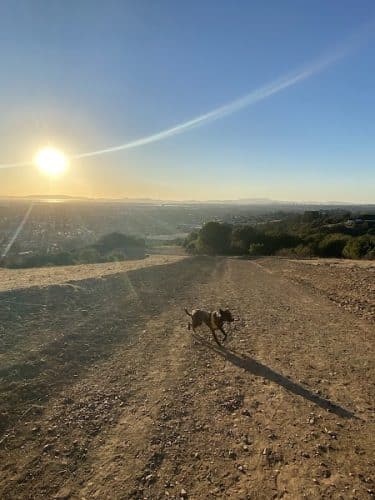 Knowland Park Open Space