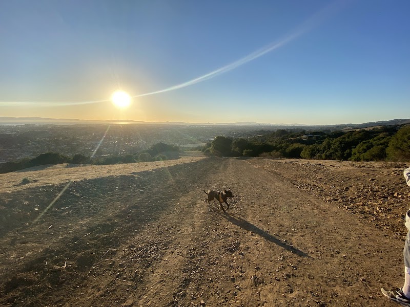 Knowland Park Open Space - Oakland, CA
