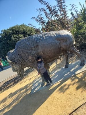 Knowland Park Open Space