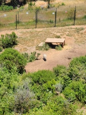 Knowland Park Open Space