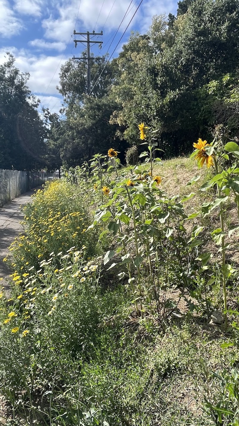 Kokua Park - Oakland, CA