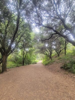 Leona Trailhead