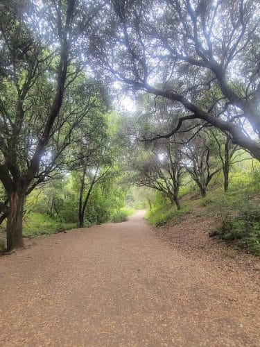 Leona Trailhead