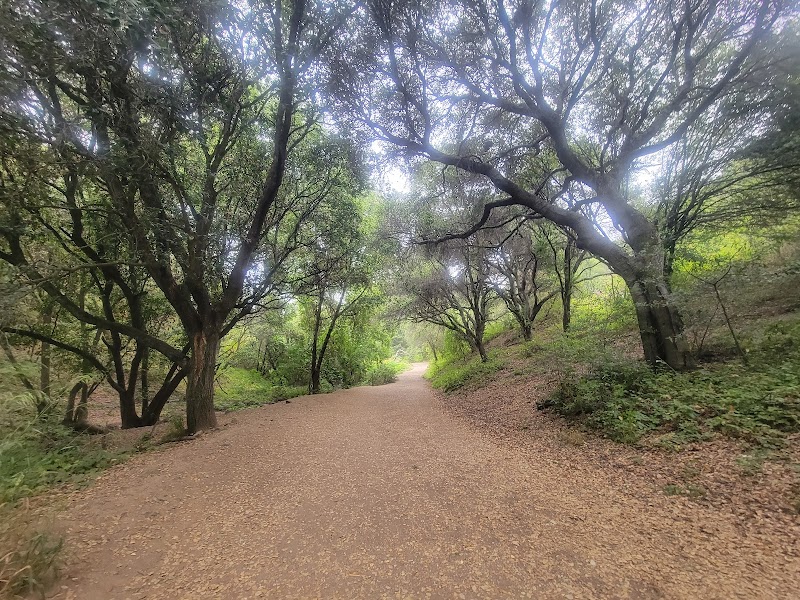Leona Trailhead - Oakland, CA