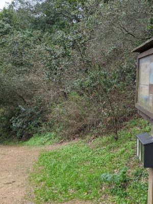 Leona Trailhead