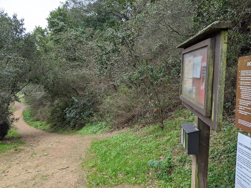 Leona Trailhead - Oakland, CA