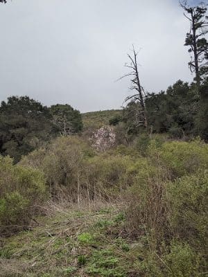 Leona Trailhead