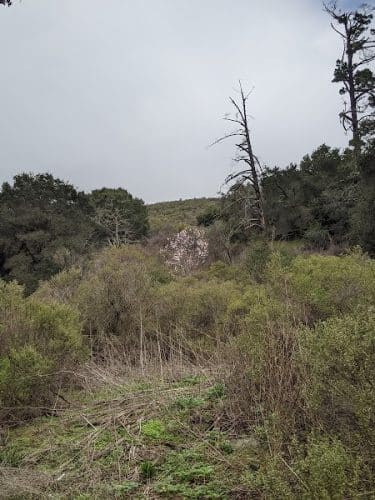 Leona Trailhead