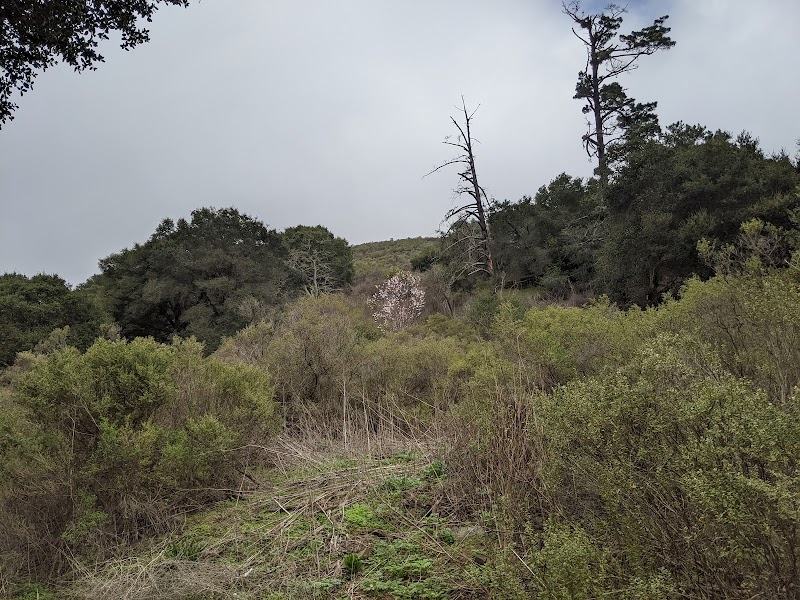 Leona Trailhead - Oakland, CA