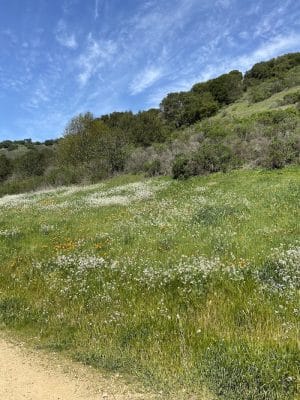 Leona Trailhead