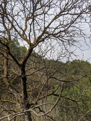 Leona Trailhead